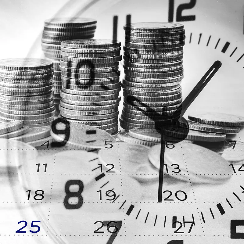 Berthold und Schwarz Projektmanagement Leistungen